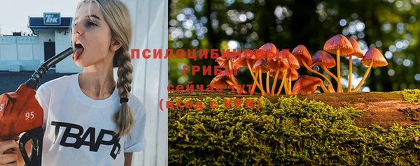 мяу мяу мука Абинск