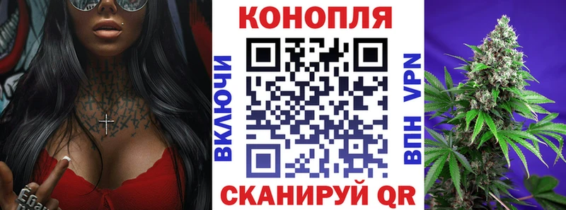 купить наркотик  MEGA ТОР  Бошки марихуана план  Горбатов 